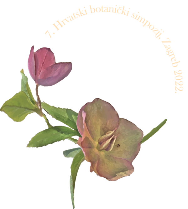 7HBS-logo