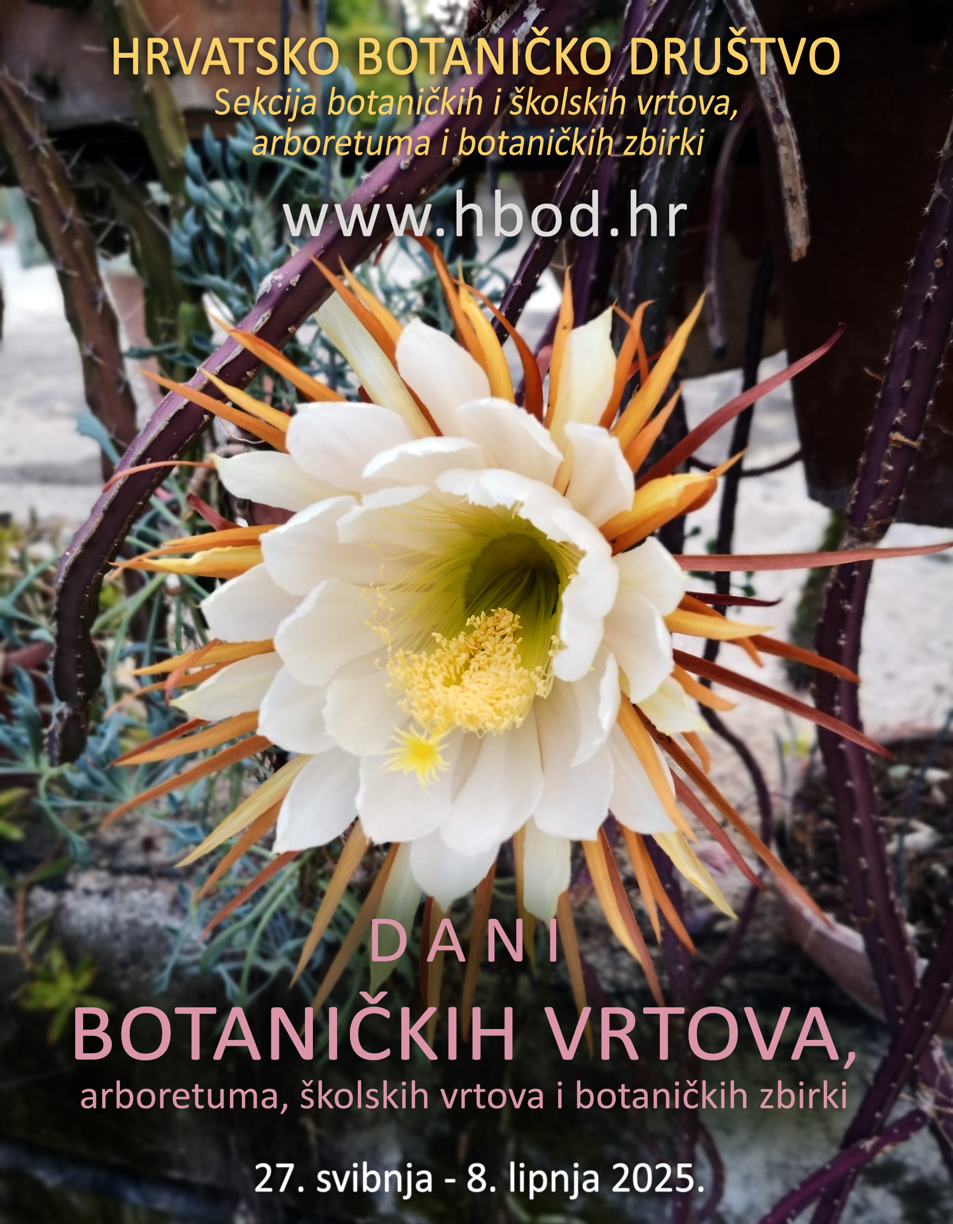 TBVAH_13_2025_kraljica 11 Tjedan BVA